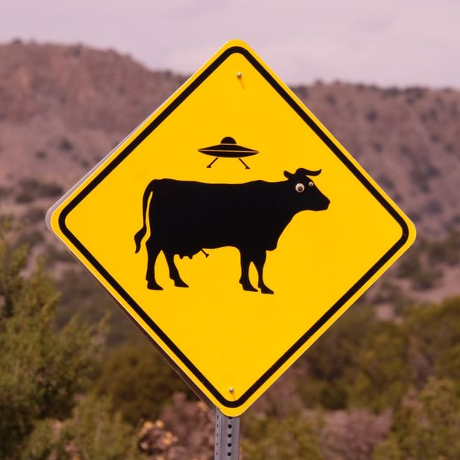 Square, yellow sign showing a UFO and a cow