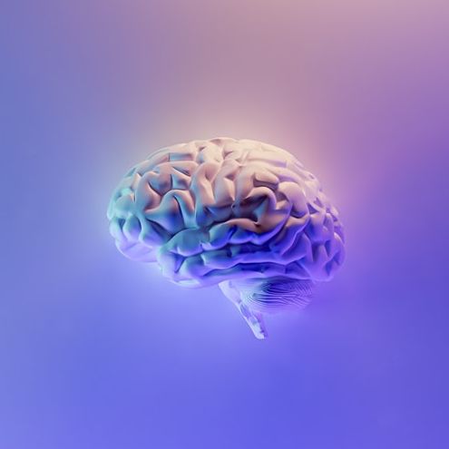 Picture of a brain